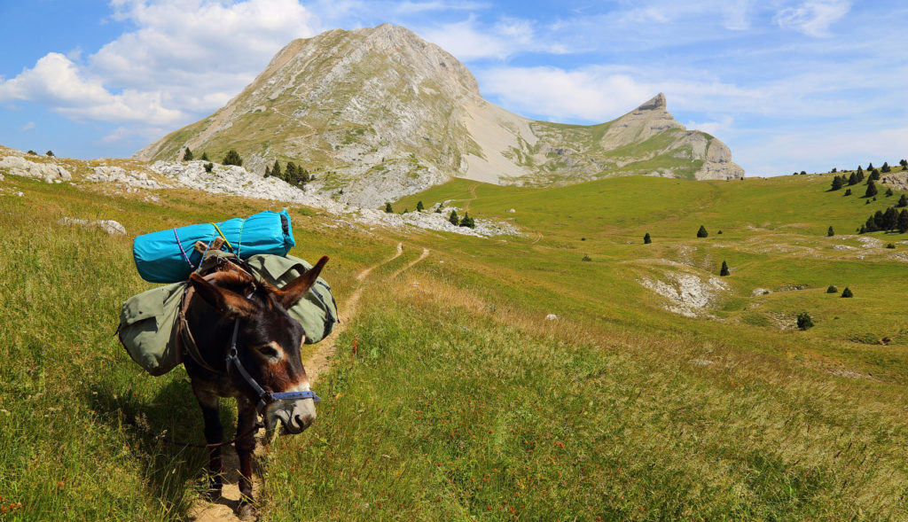 Randonnée avec un âne au pied du Grand Veymont © Eberlé