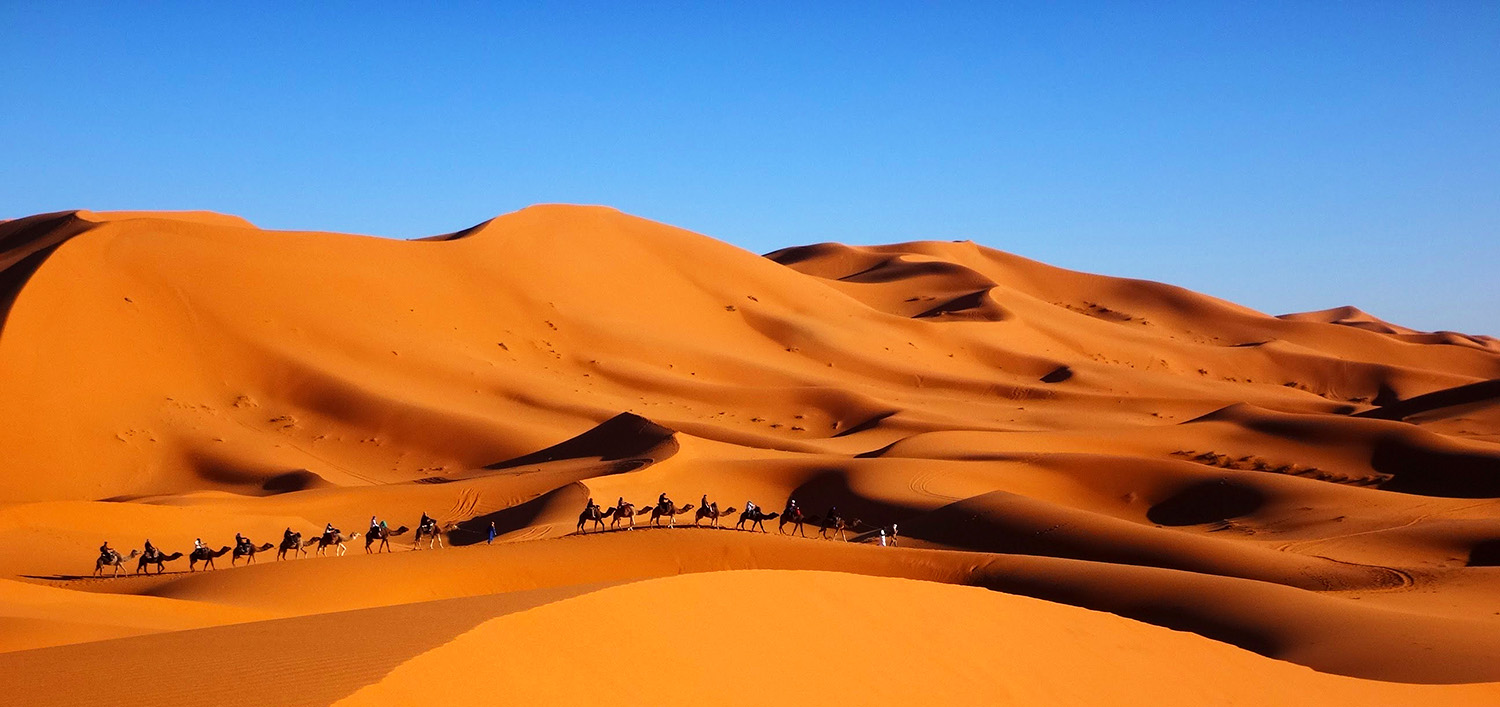 Maroc, randonnée chamelière dans l'Erg Chebbi