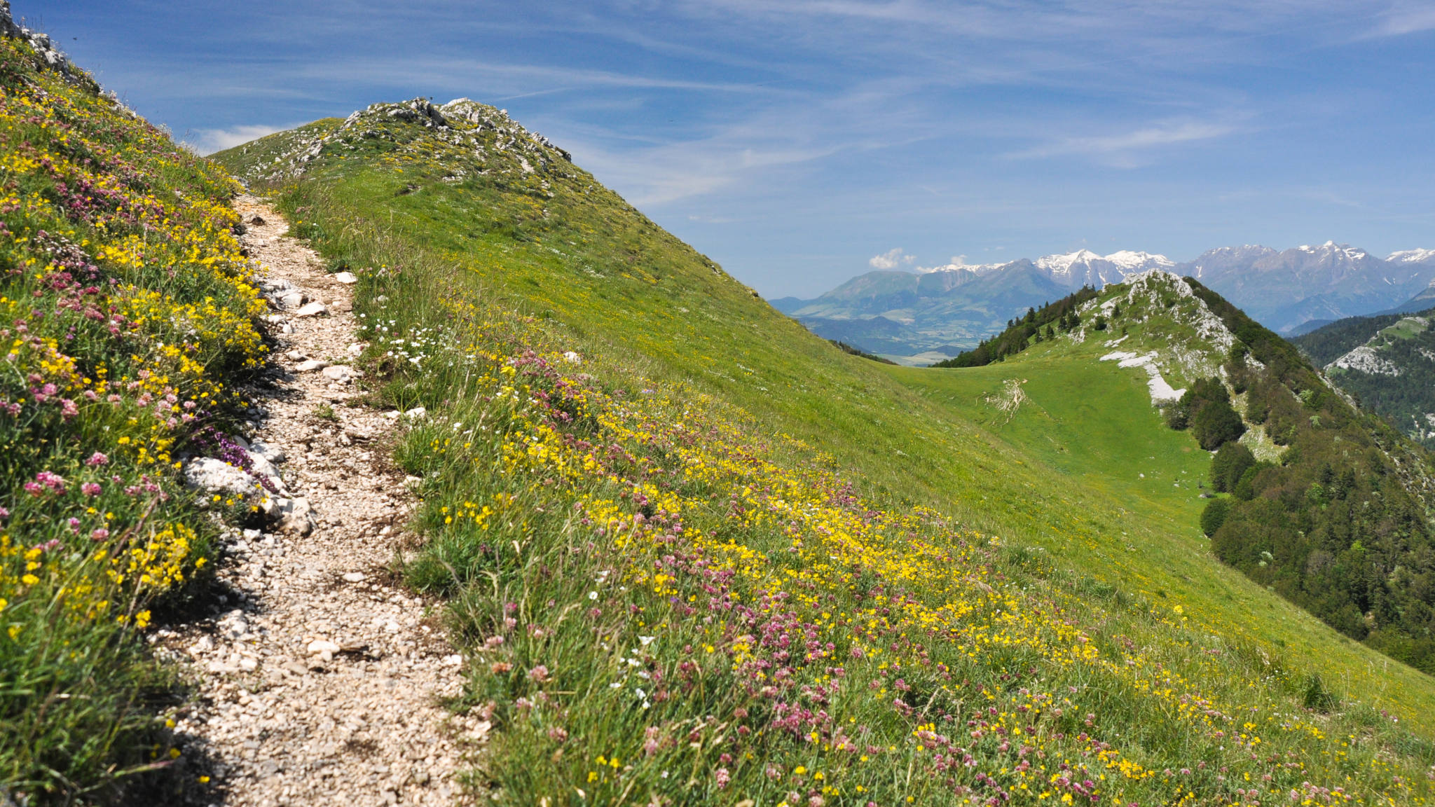 joli chemin de crêtes dans le Vercors