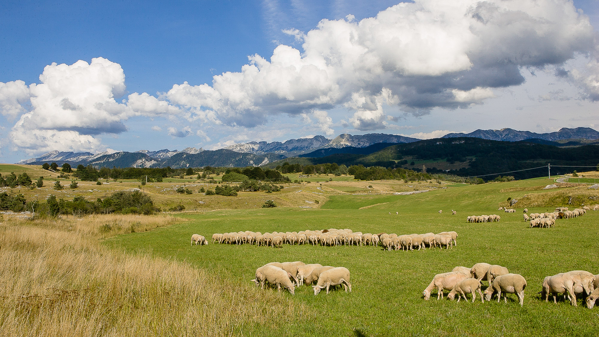 la plaine de Vassieux dans le Vercors - photo Lionel PASCALE - LADROMETOURISME