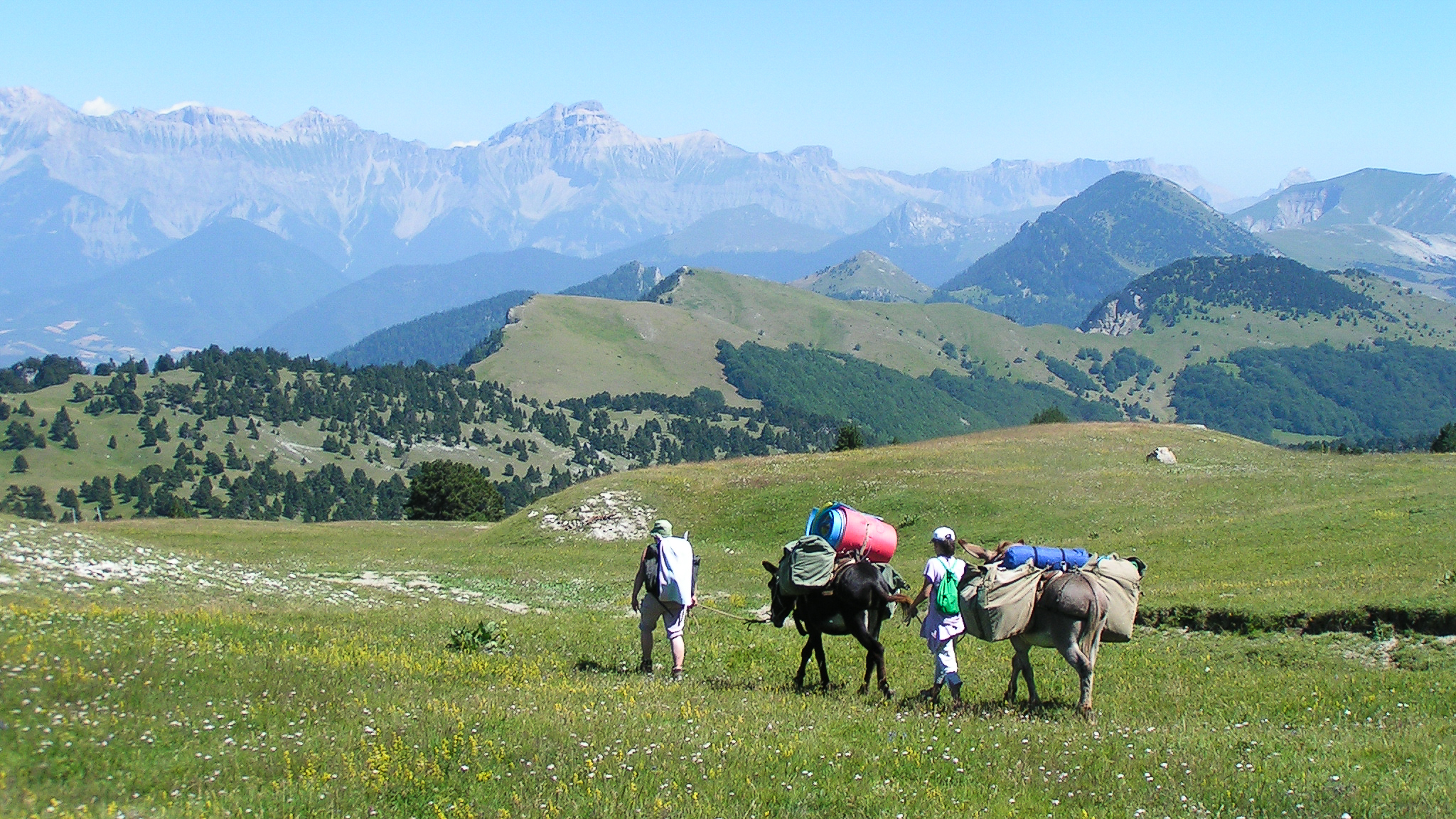 Petite caravane transhumante sur les Hauts-Plateaux du Vercors