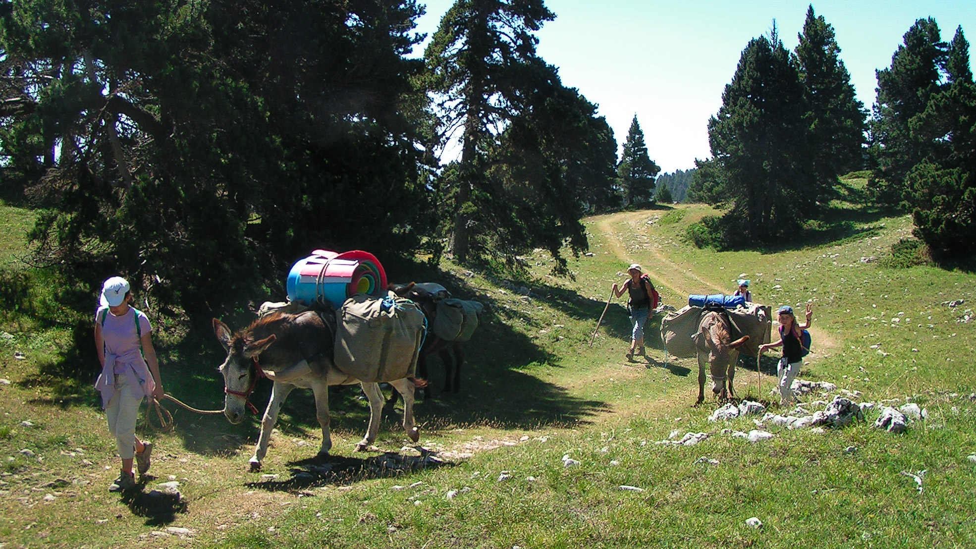la caravane des ânes en marche