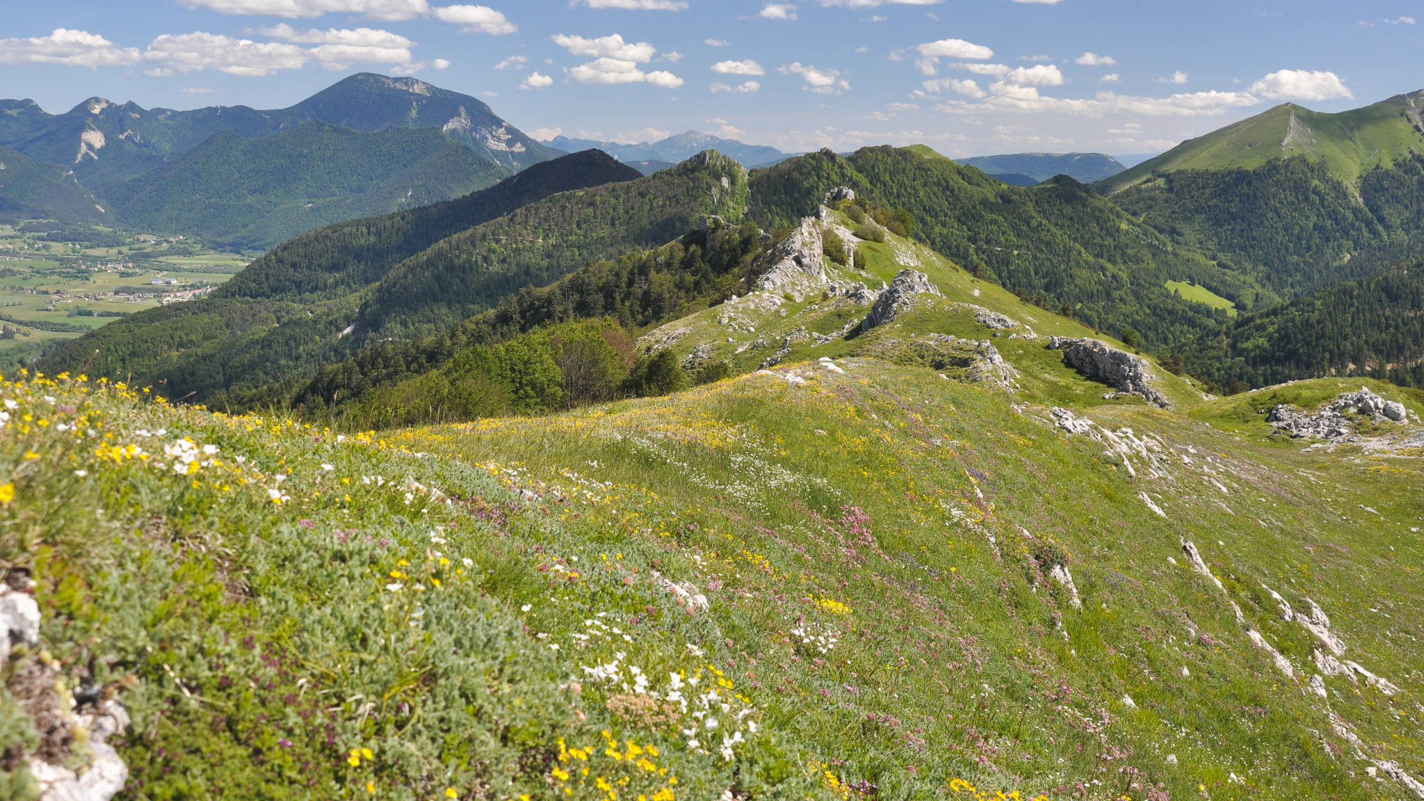 Sur les crêtes du Mont Jocou