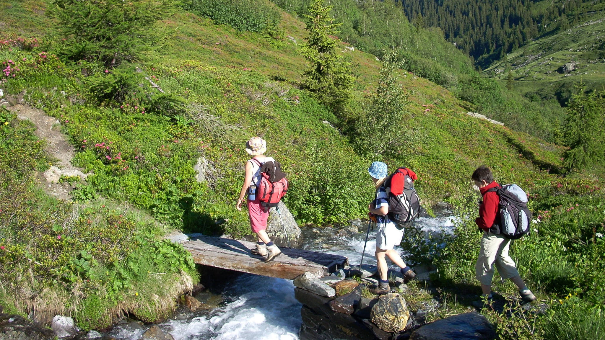 Passrerelle pour traverser le torrent