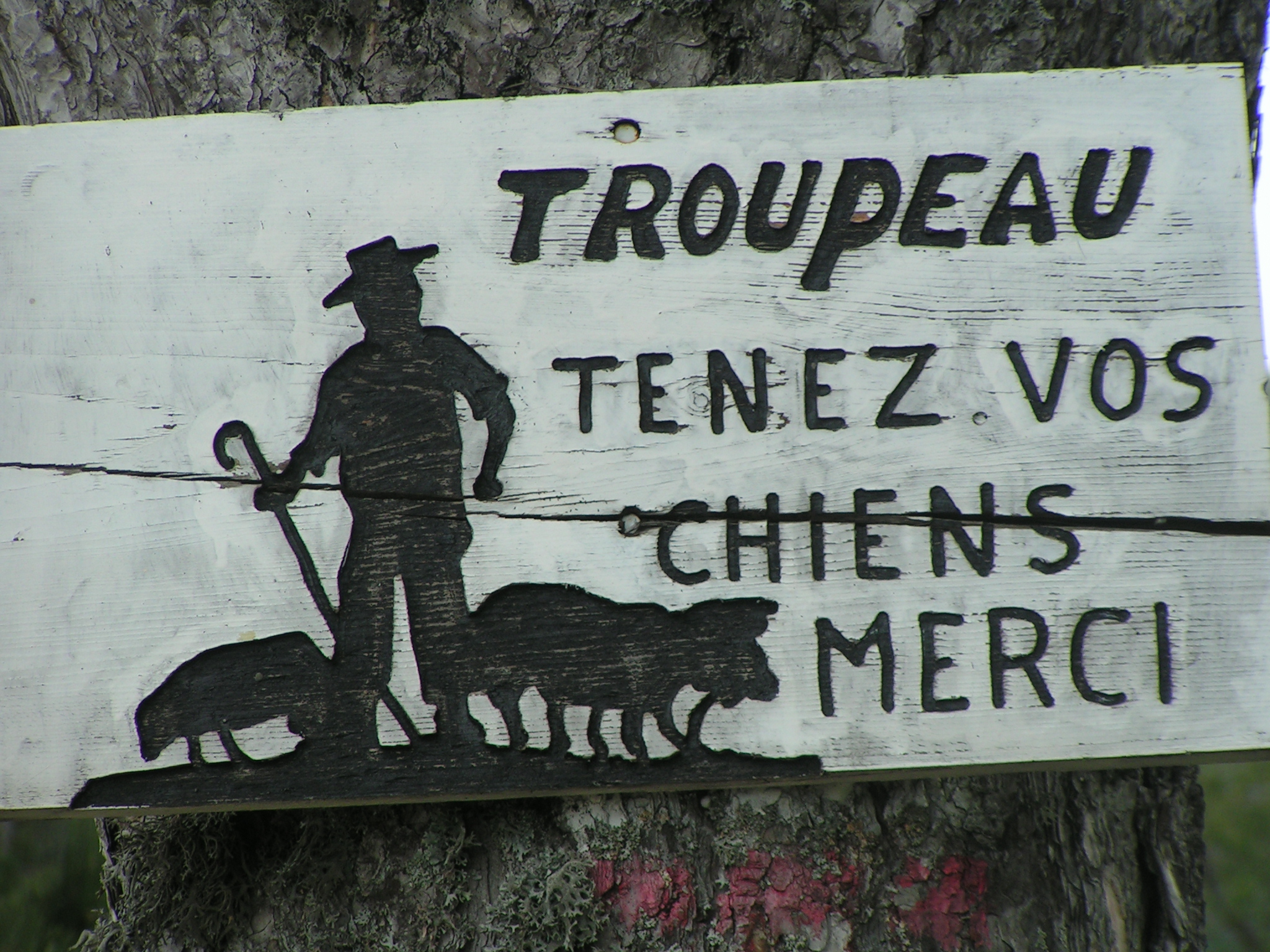Troupeaux; tenez vos chiens. Merci.