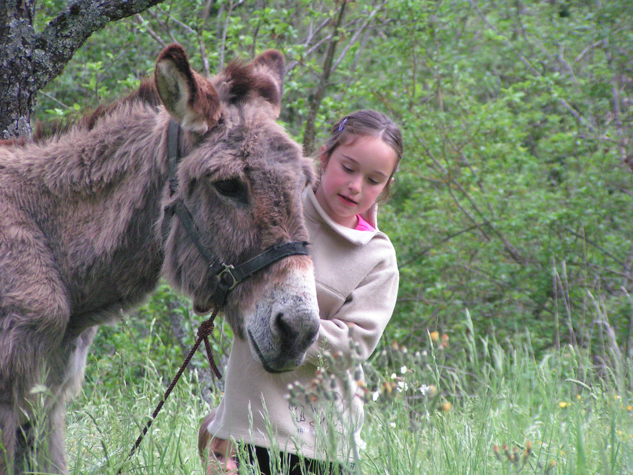 Bons moments avec un âne