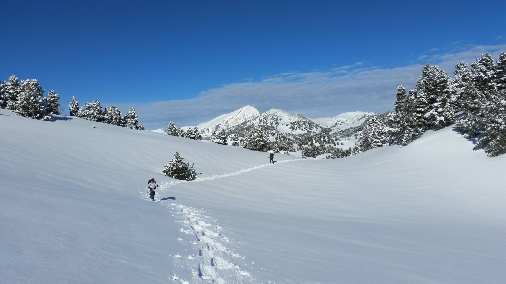 Vers le pas de la Chèvrerie, vue sur le Grand Veymont