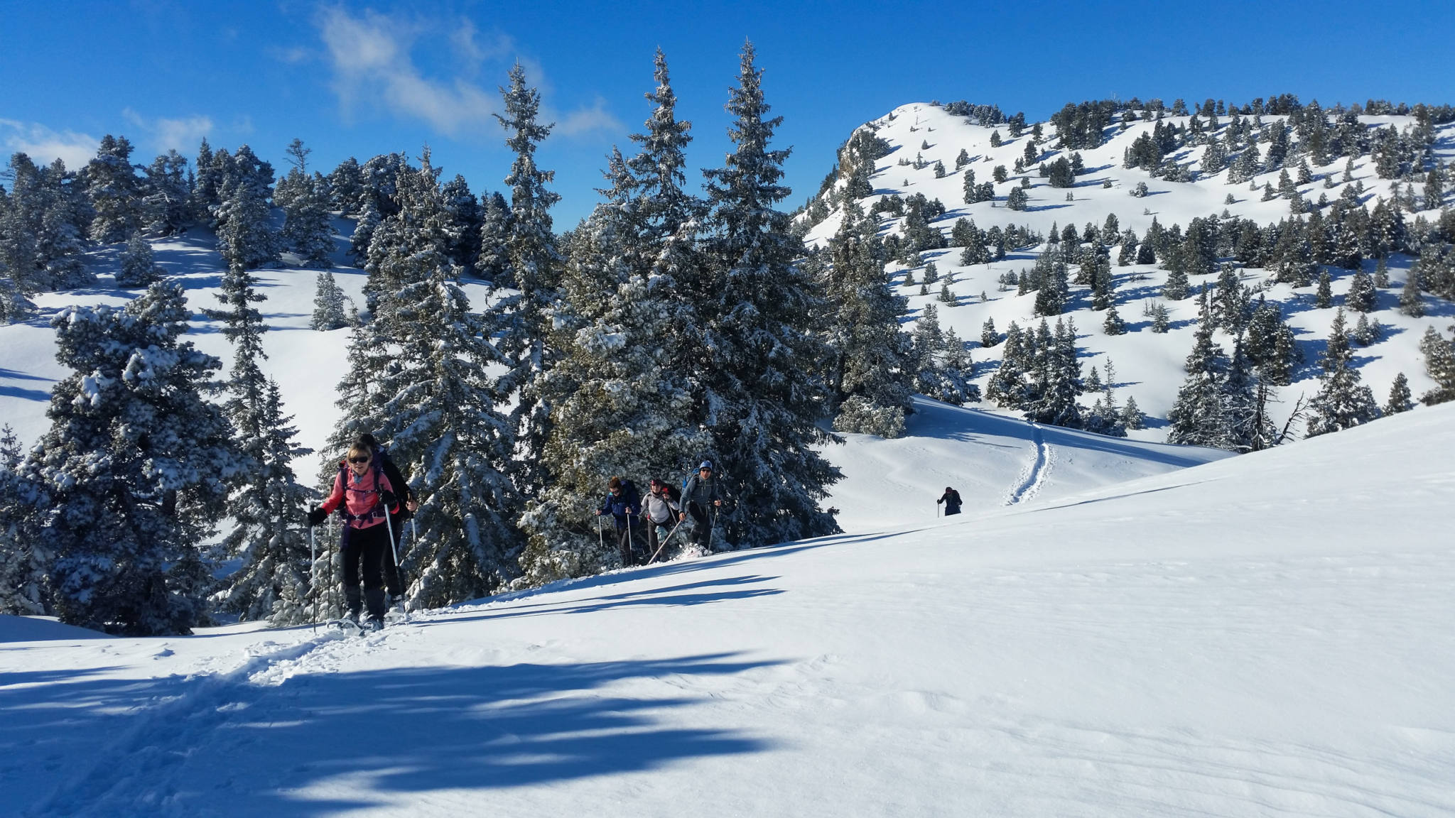 Rando raquettes dans le Vercors