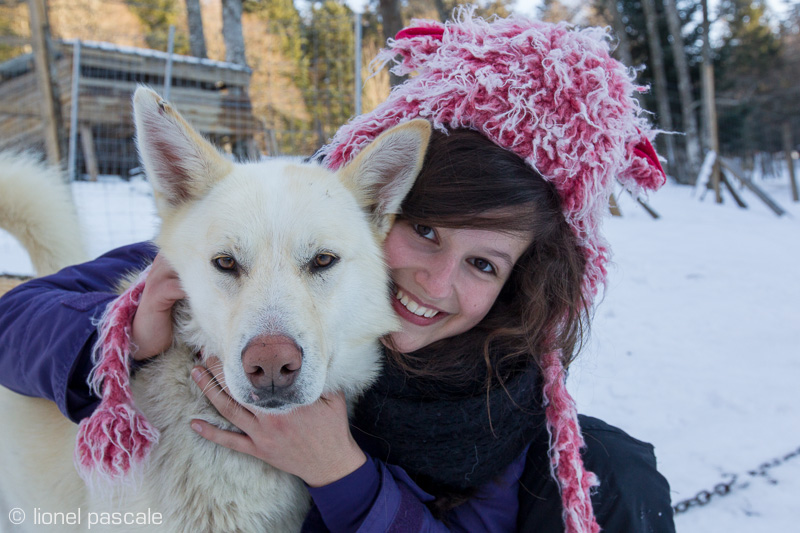 Découverte des chiens de traîneaux dans le Vercors