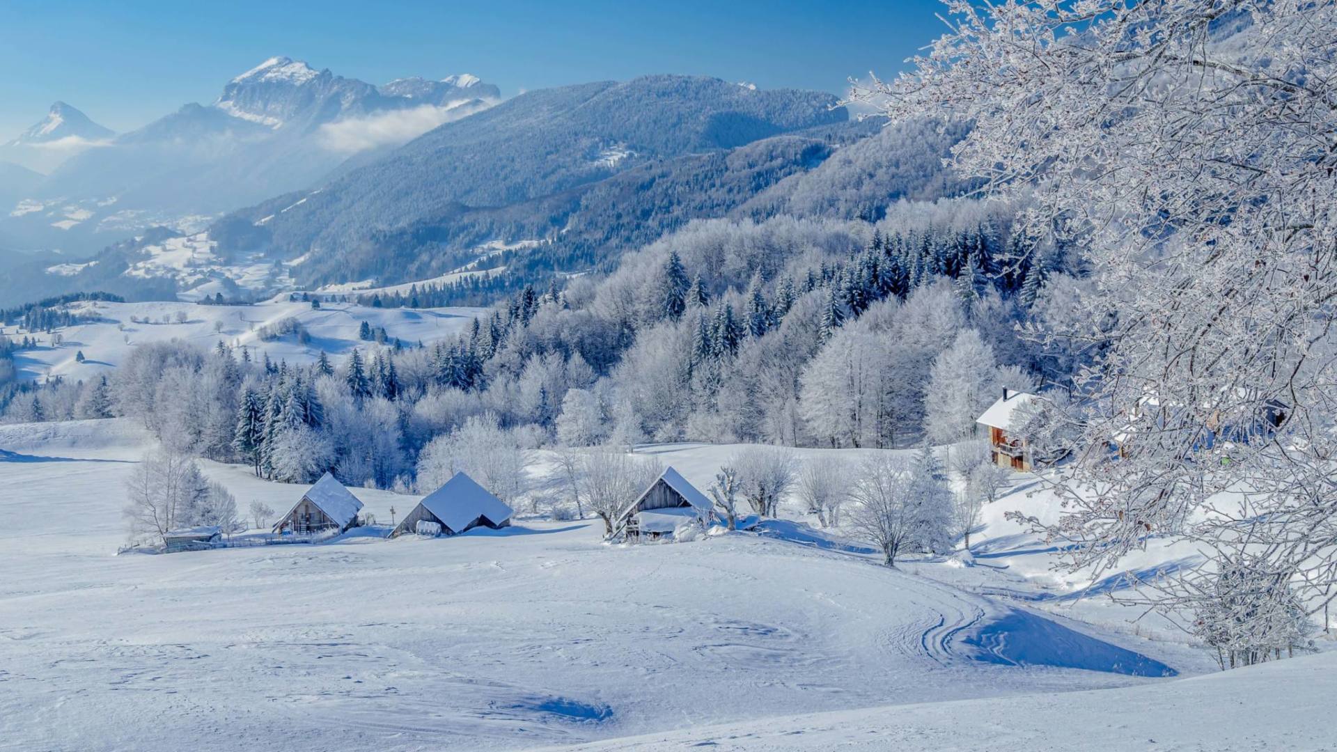 Paysage typique du Tour de la Chartreuse