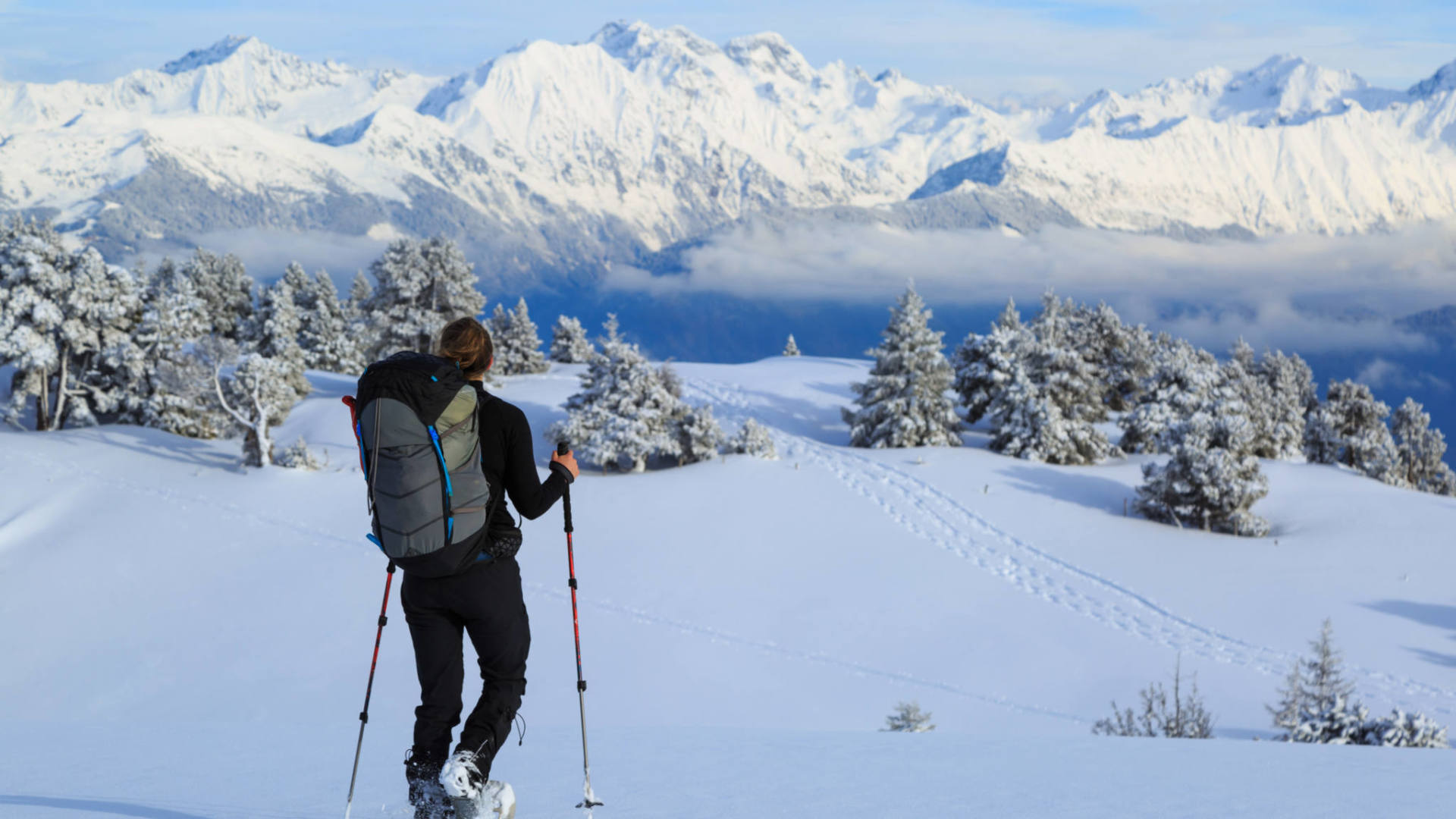 Raquettes sur les Hauts Plateaux de Chartreuse