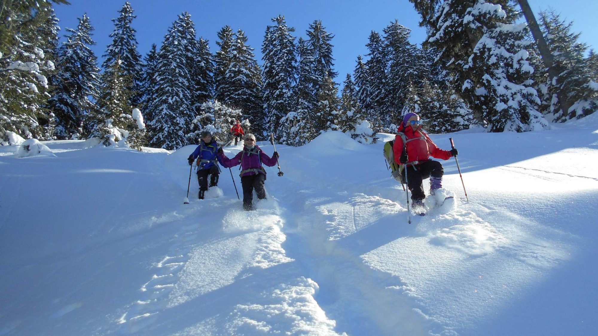 Raquettes et neige poudreuse, les joies de l'hiver !