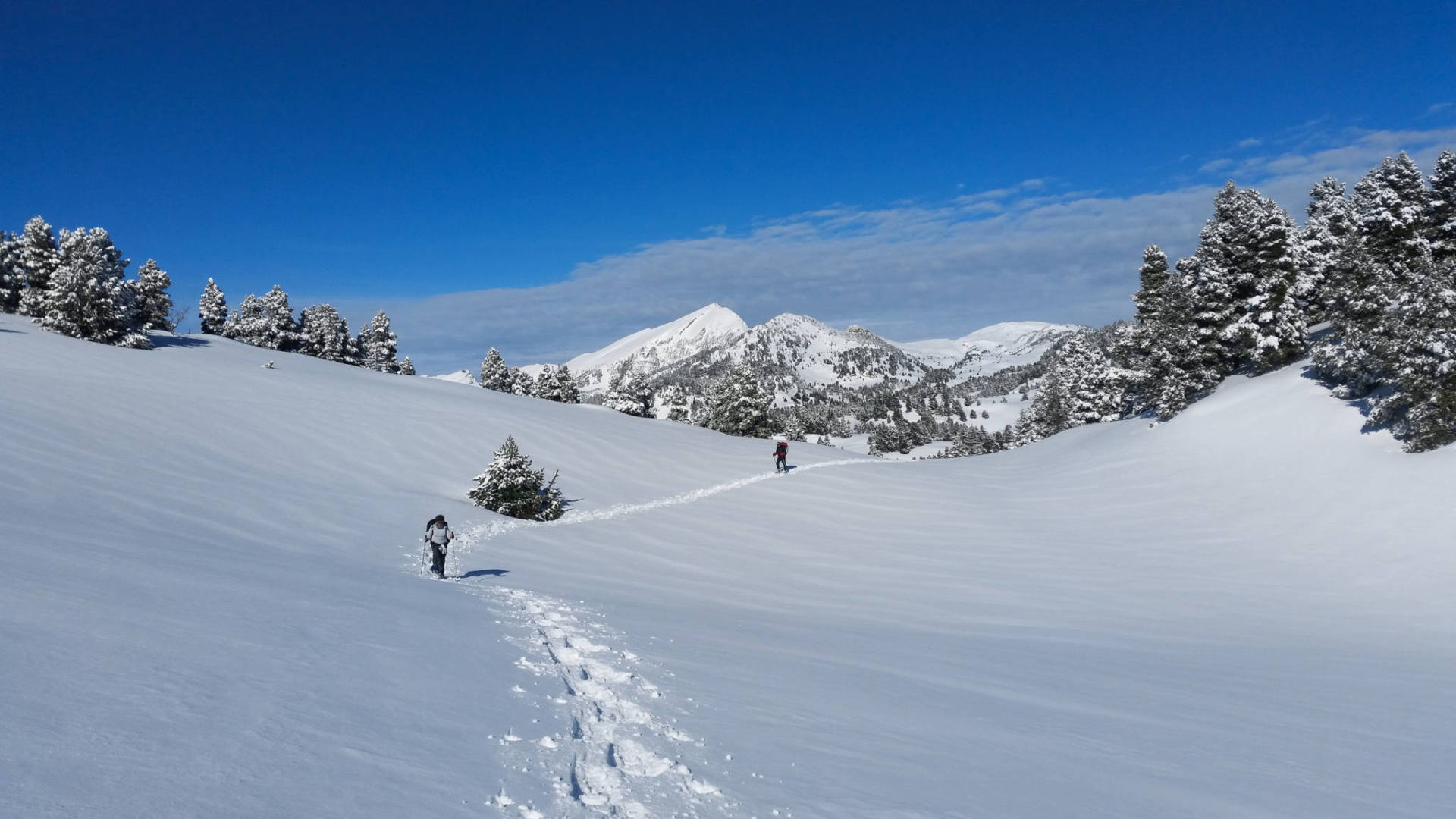 circuit raquettes dans le Vercors