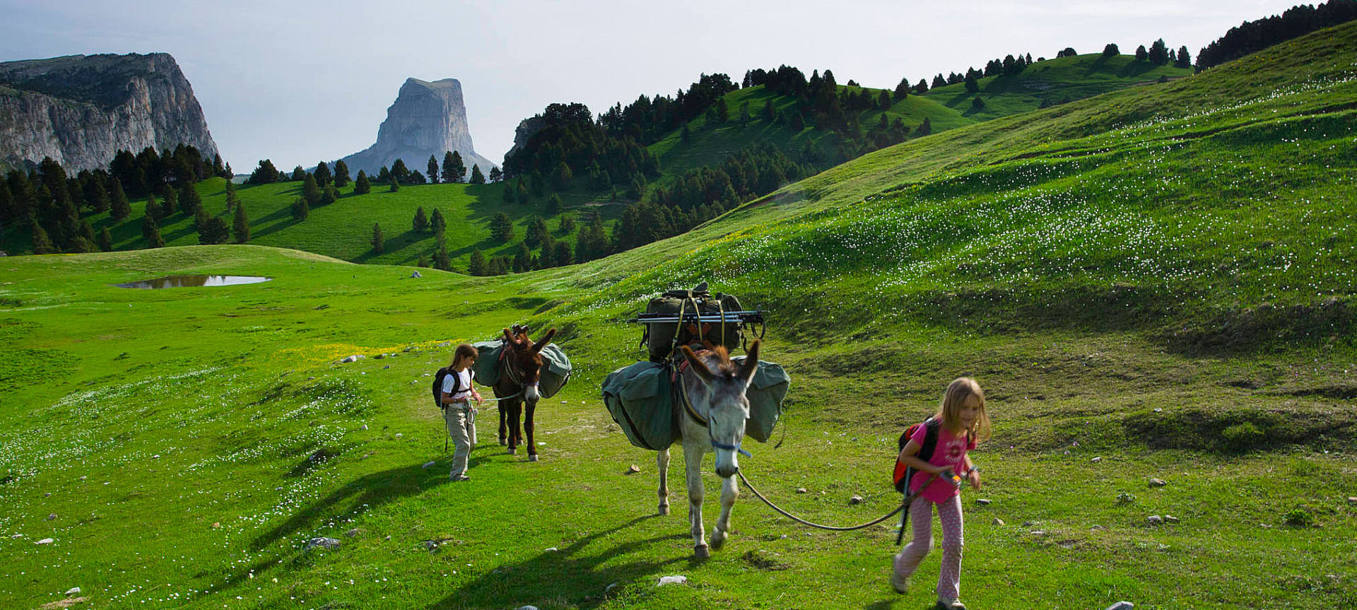 randonnée avec des ânes dans le Vercors