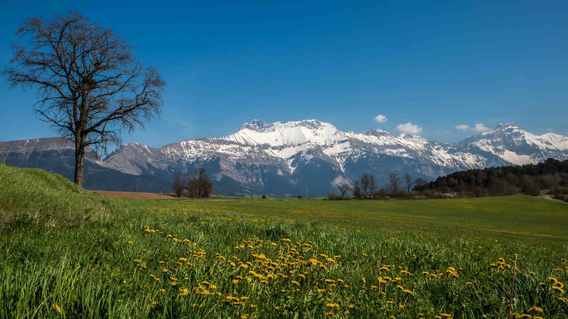 Entre Die et Mens, le printemps sur le plateau du Trièves