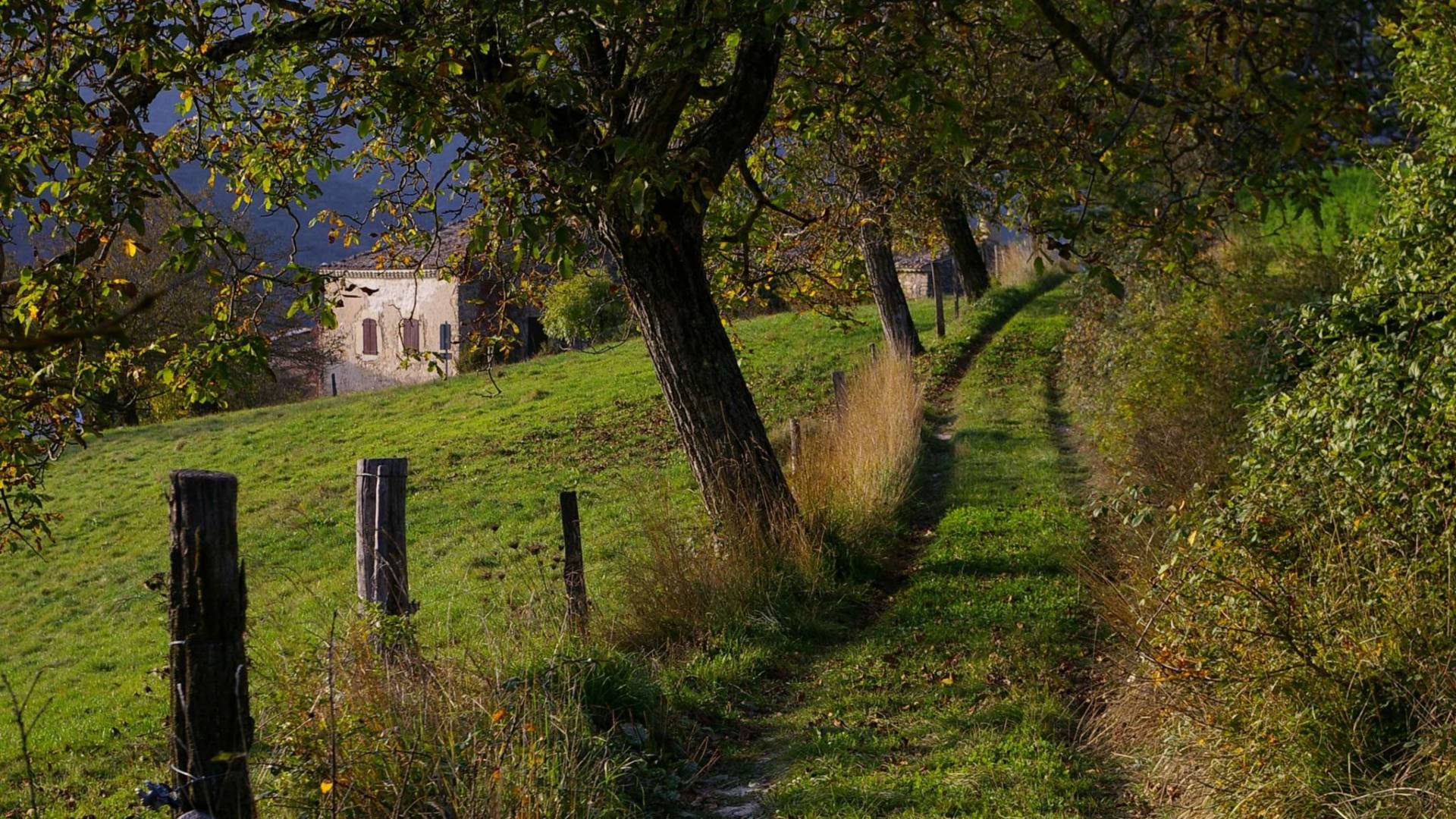 Dans les pas des Huguenots an pays Diois