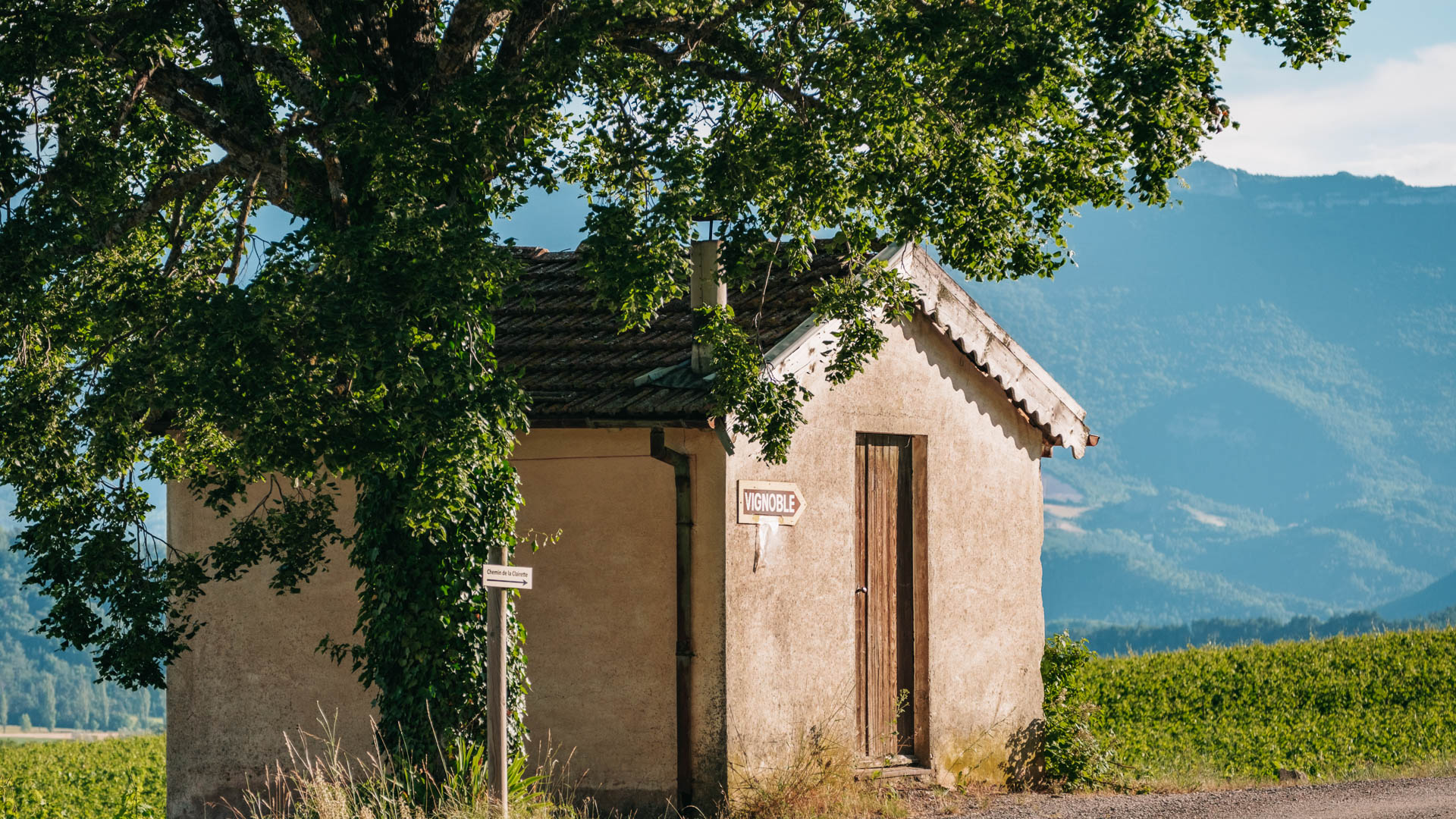 cabanon dans les vignes à Châtillon en Diois