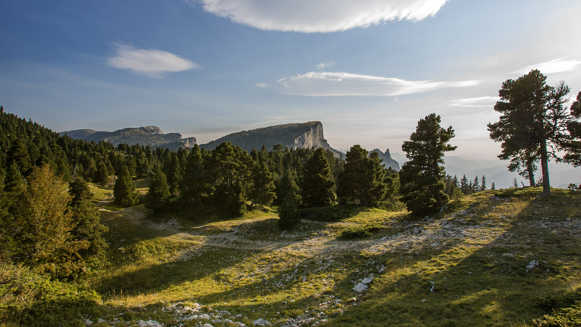 sur les Hauts Plateaux du Vercors, chemin dans la Réserve
