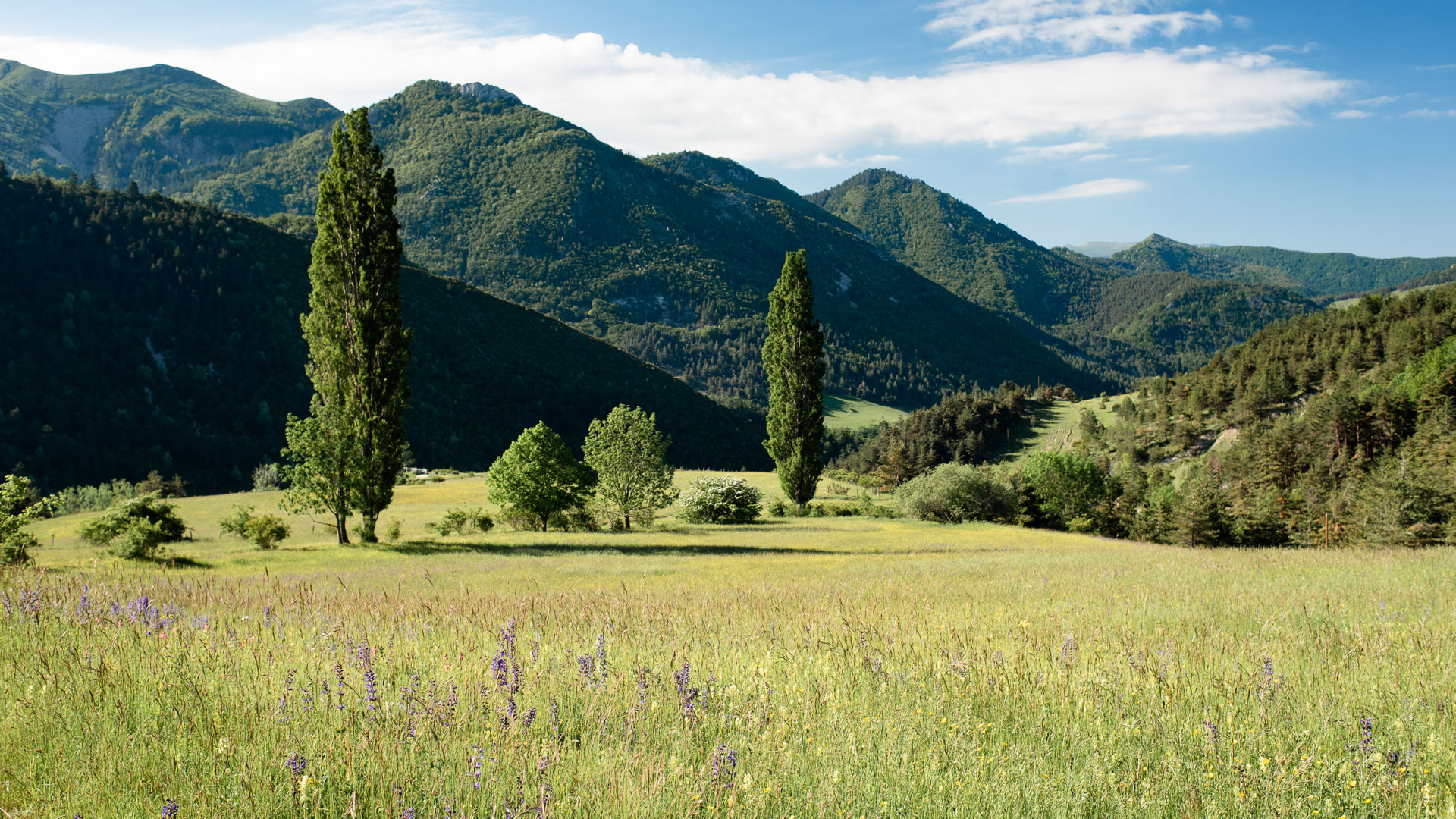 Prairies et montagne du Haut Diois