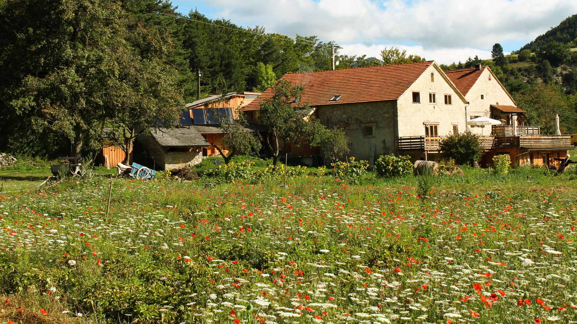 le gîte de la Salamandre à Boulc