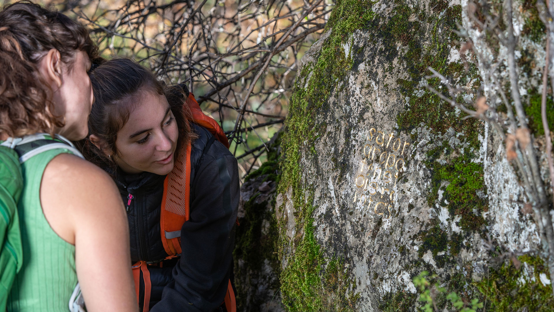 Le palindrome de herman de vries