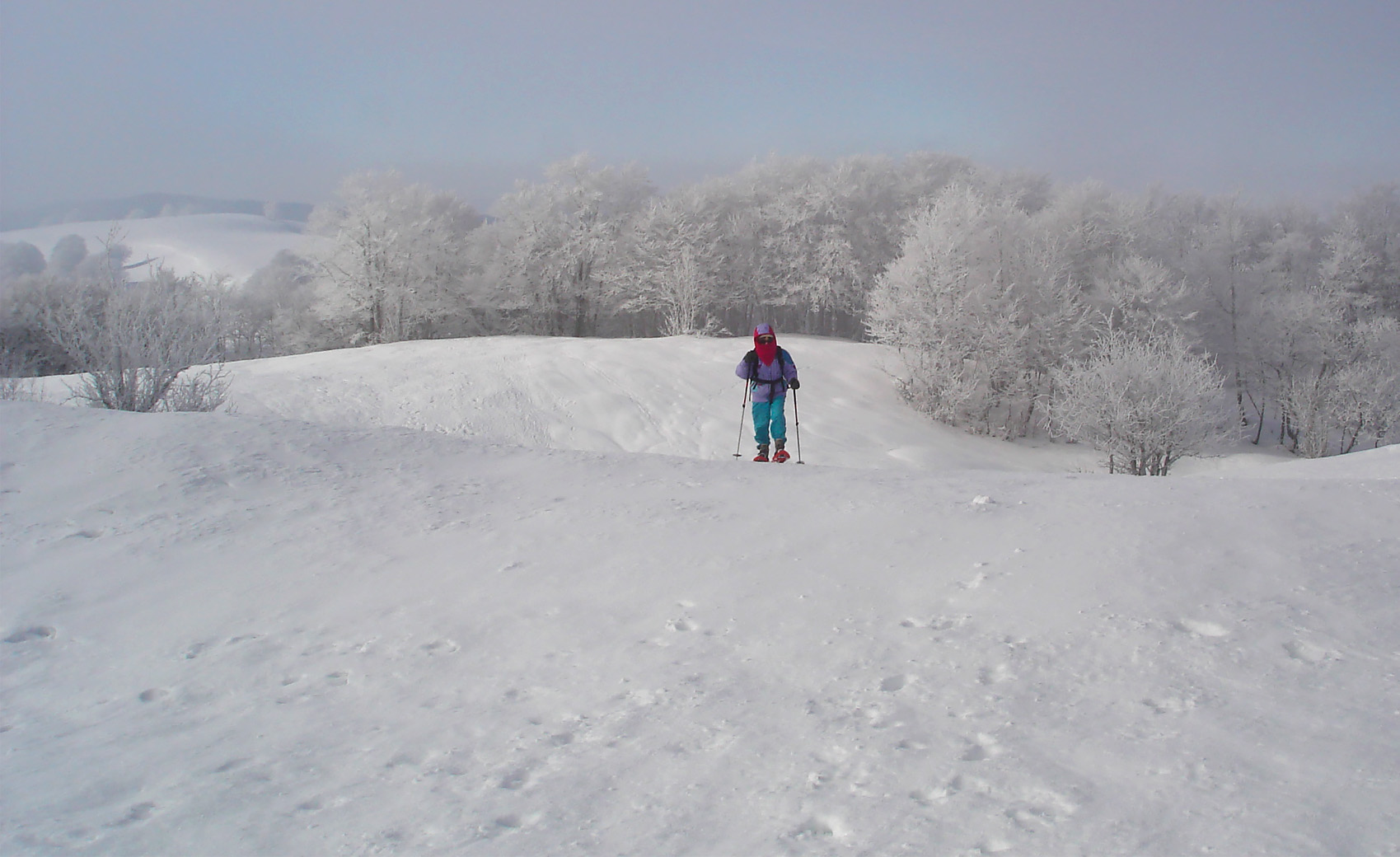 Raquettes dans le Jura