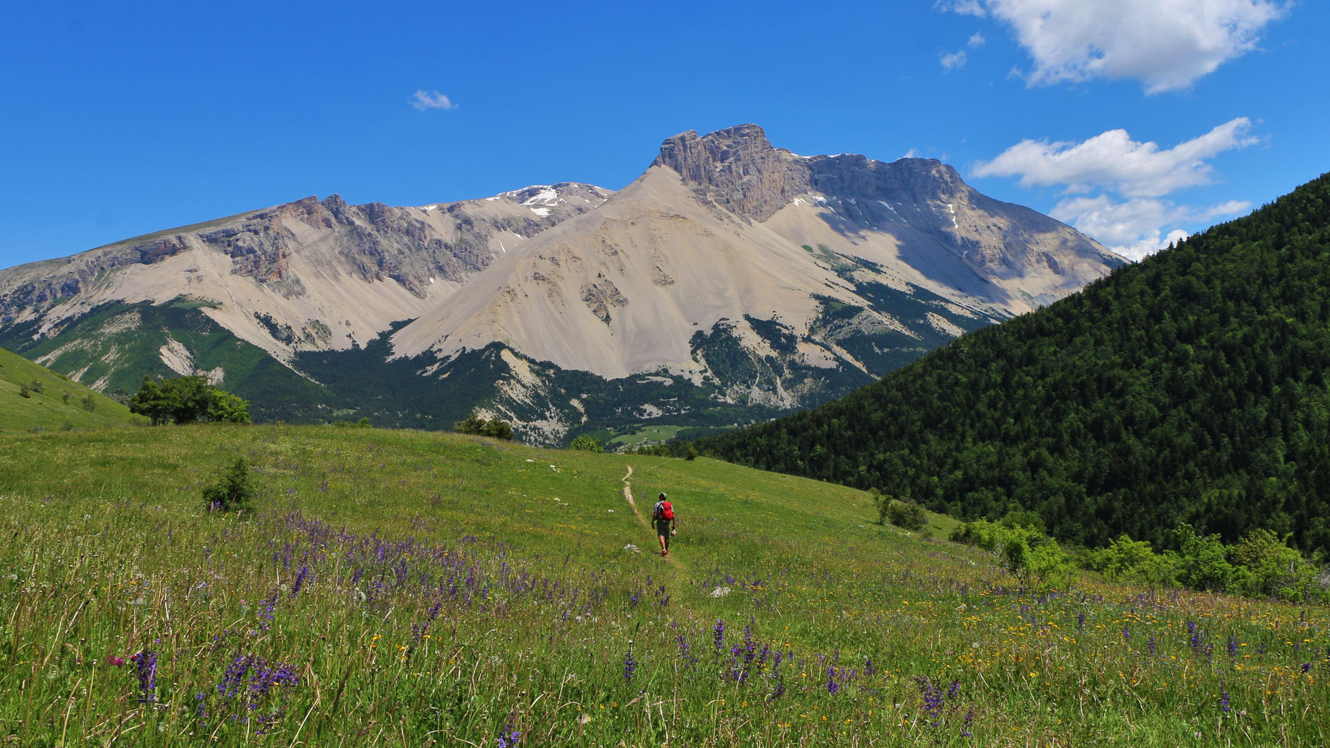 randonneur dans le massif du Dévoluy sur le circuit Retrouvance
