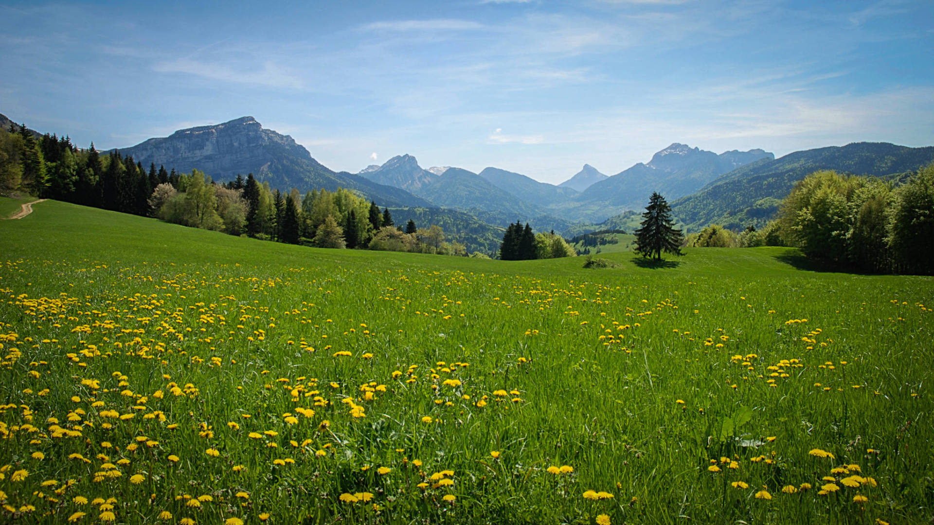 Les paysages de la vallée des Entremonts, ouverts et verdoyants !
