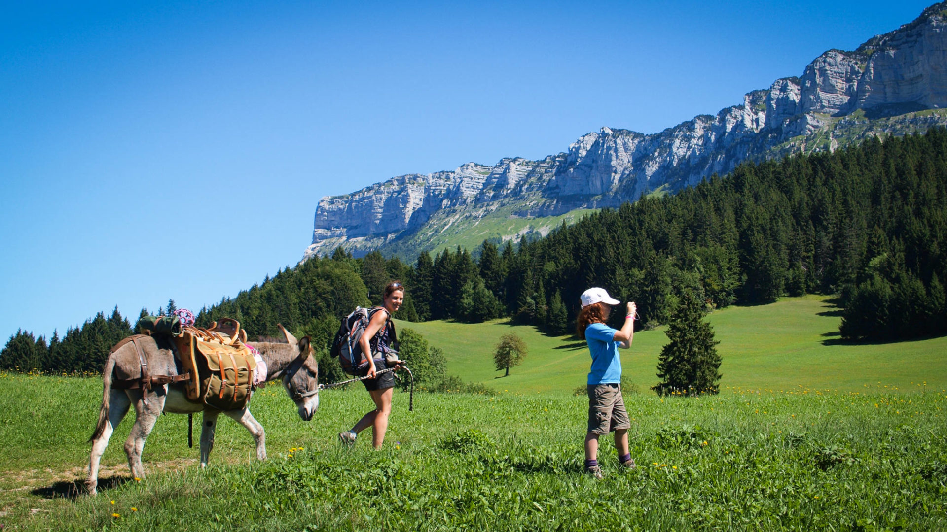 Vacances en famille : rando dans les alpages au pied du Mont Granier