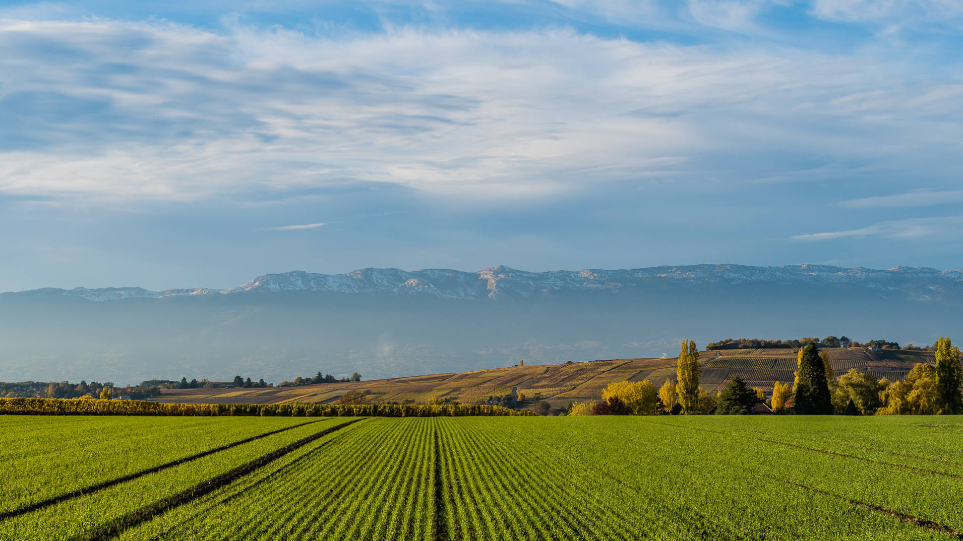 La campagne suisse dans les environs de Genève