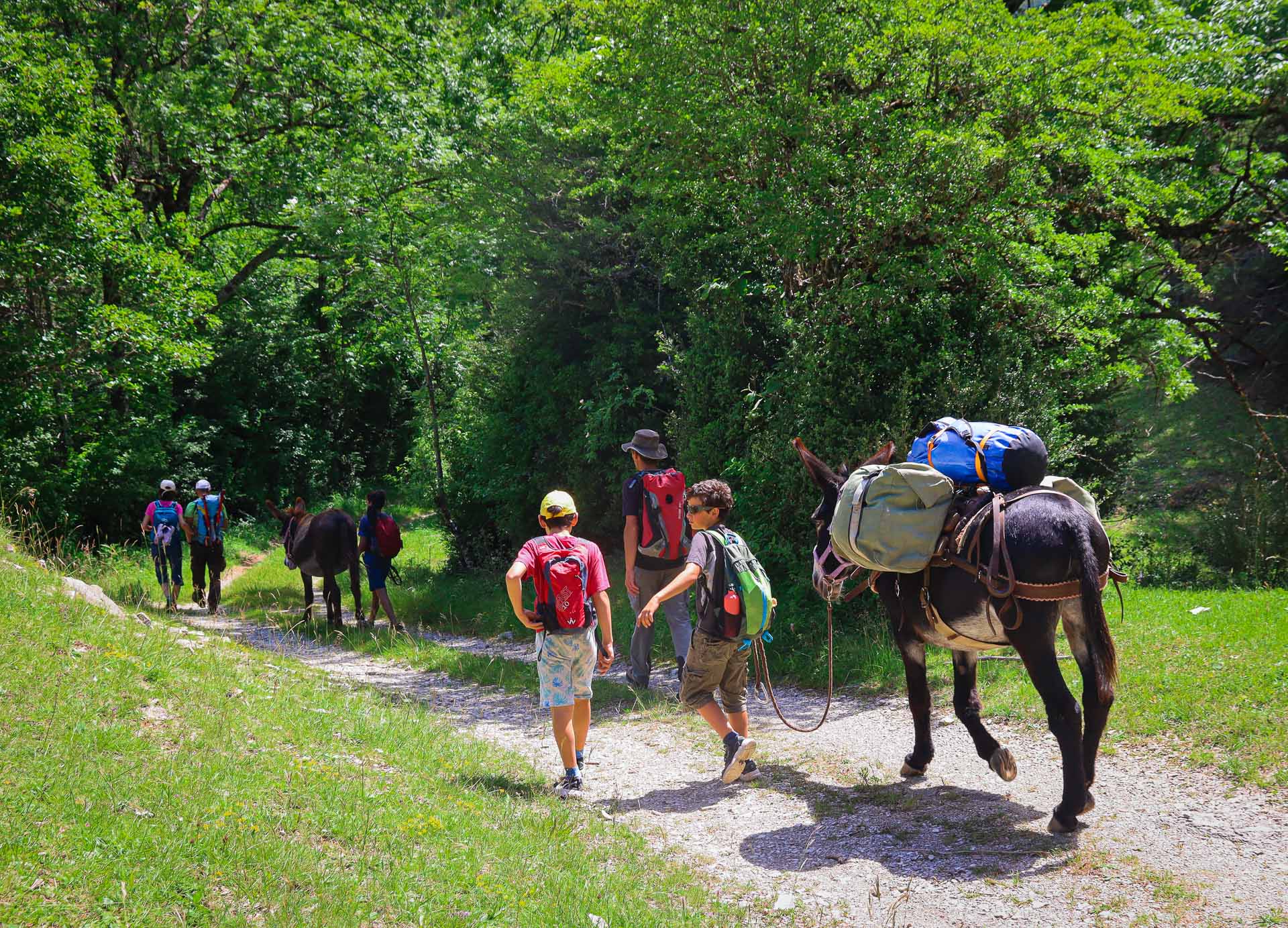 randonnée en famille avec des ânes