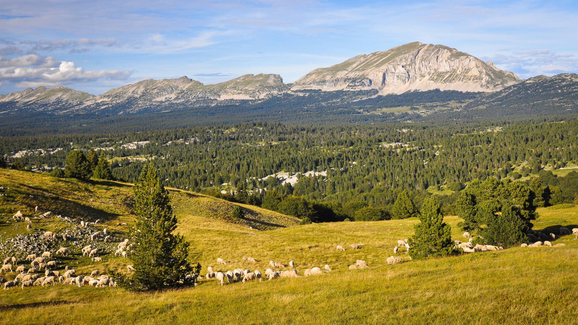 Les Hauts Plateaux du Vercors