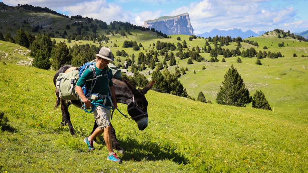 rando avec un âne dans le Vercors