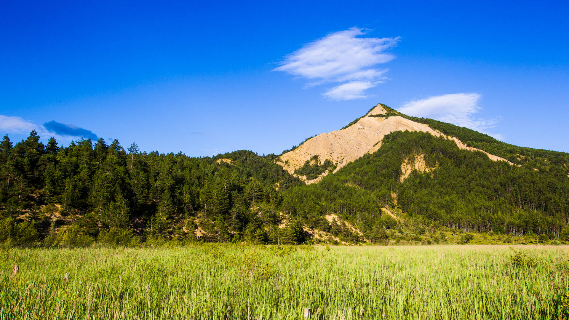 Le Marais des Bouligons en Drôme