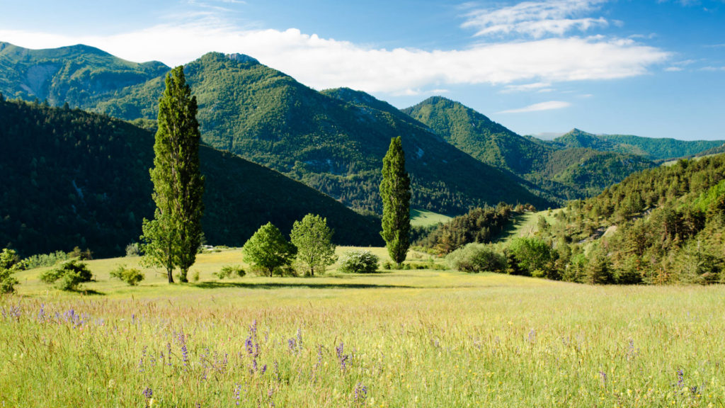 Nature intacte dans les montagnes du Diois