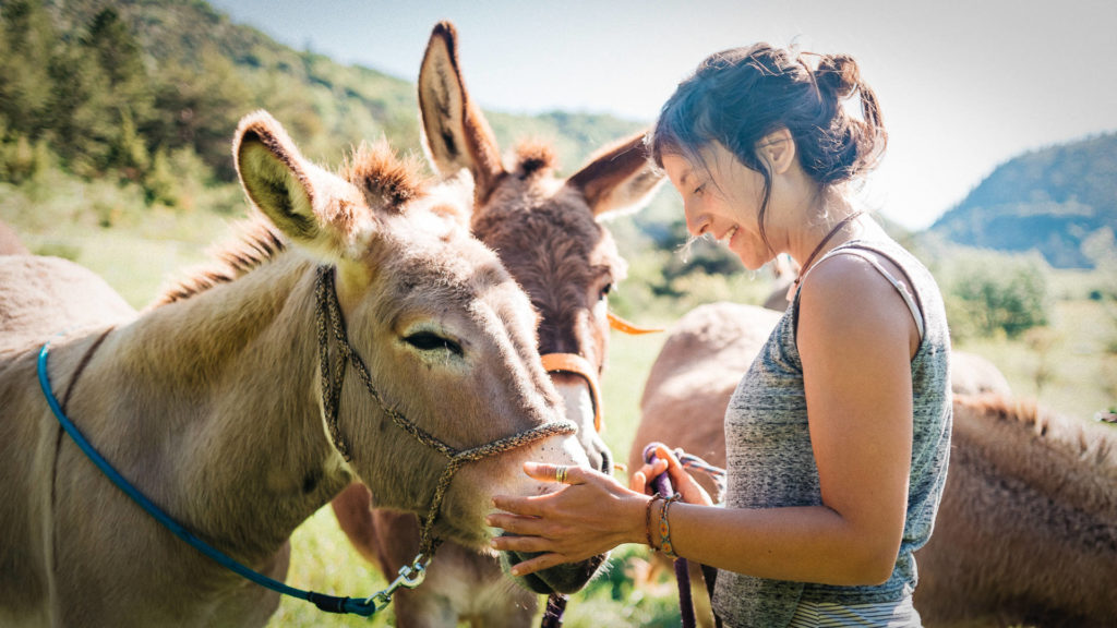 Moment câlin d'une randonnée avec les ânes