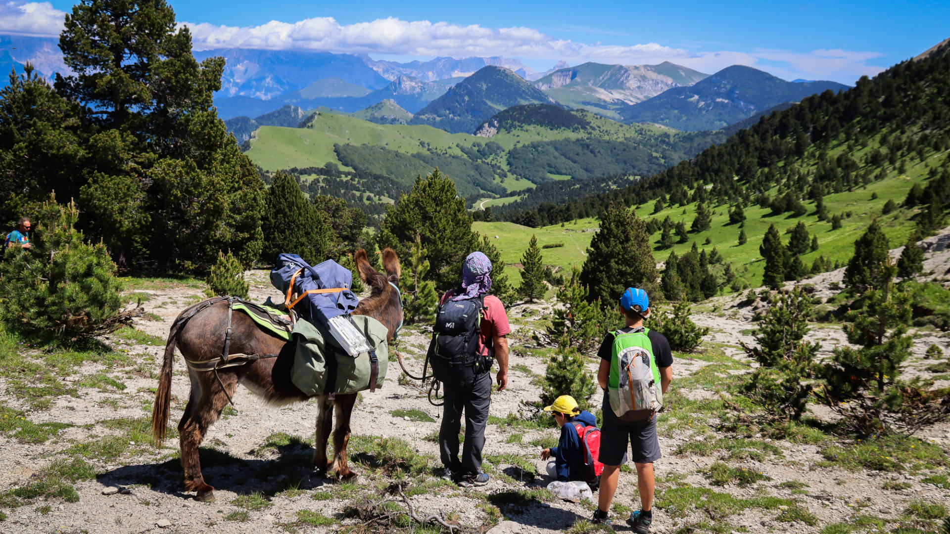 Randonnée en famille avec un âne au-dessus du Vallon de Combeau