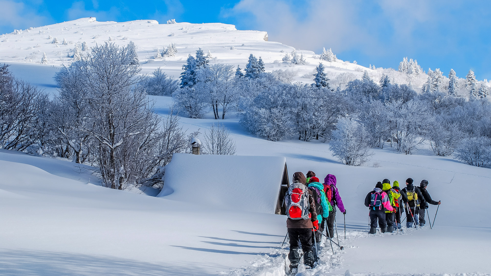 raquettes dans un paysage de neige immaculé dans le Vercors