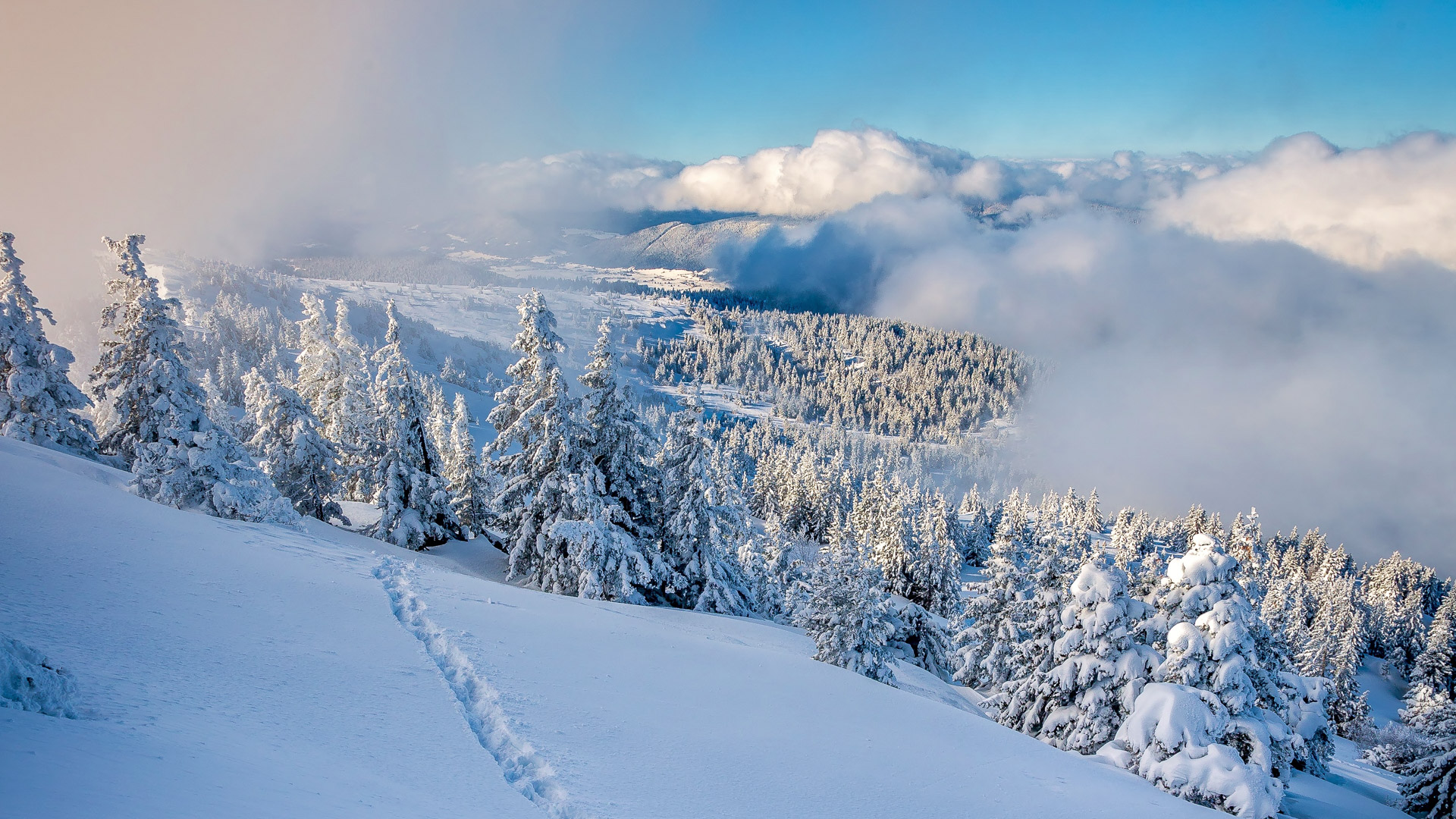 paysage enneigé du Vercors Nord