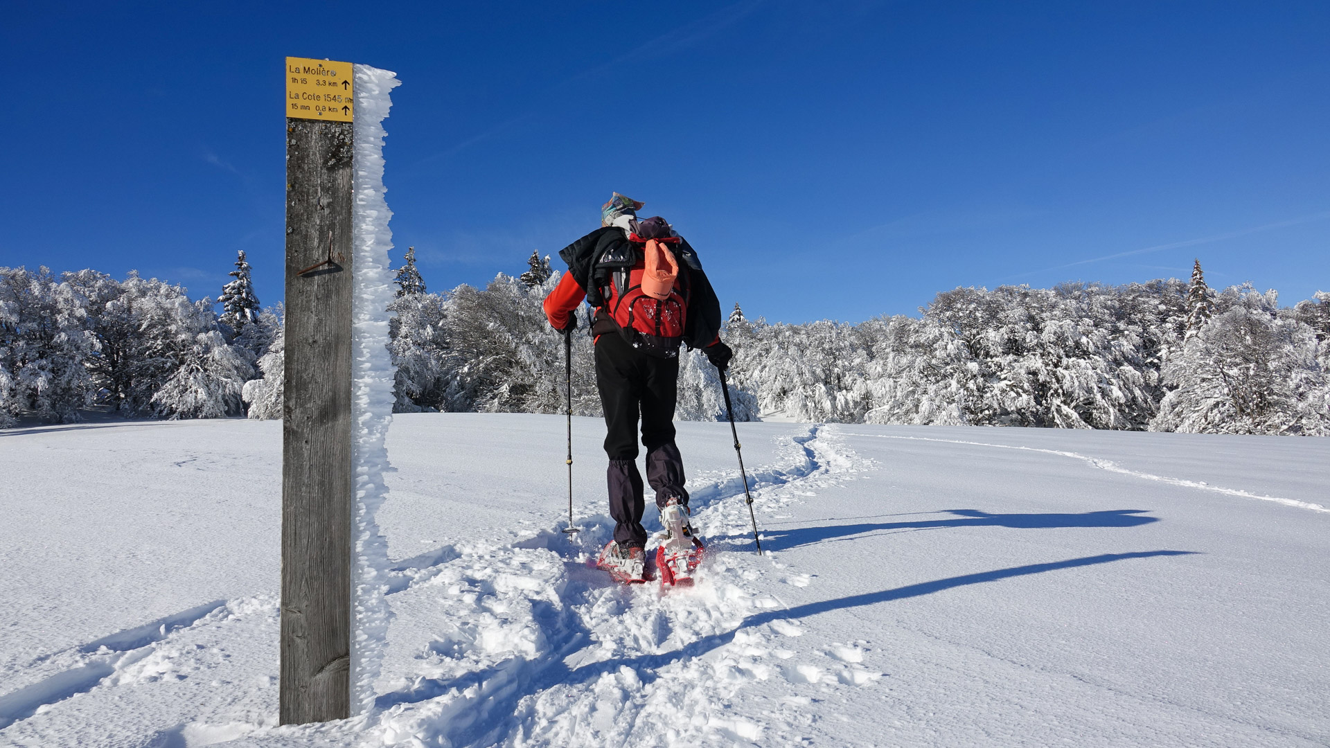 Randonnée raquettes en dans le massif du Vercors