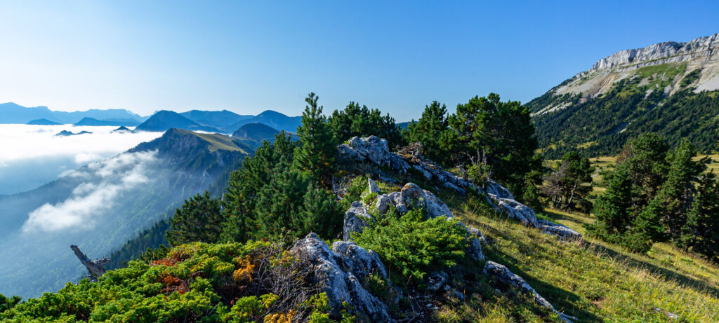 Le vallon de Combeau dans le Vercors