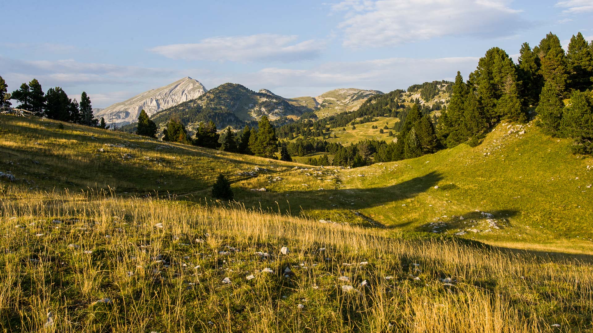 La Réserve naturelle des Hauts plateaux du Vercors