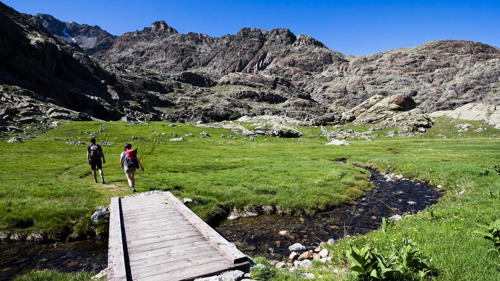 pont dans les alpages du Parc du Mont Avic