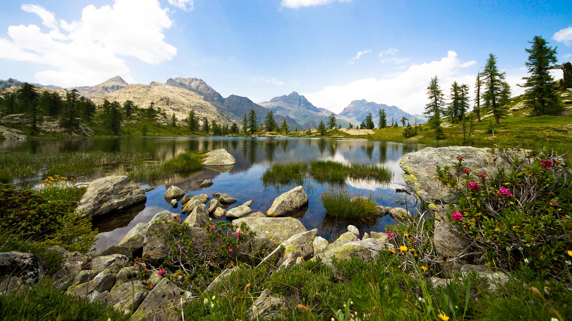 lac typique du parc du Mont Avic
