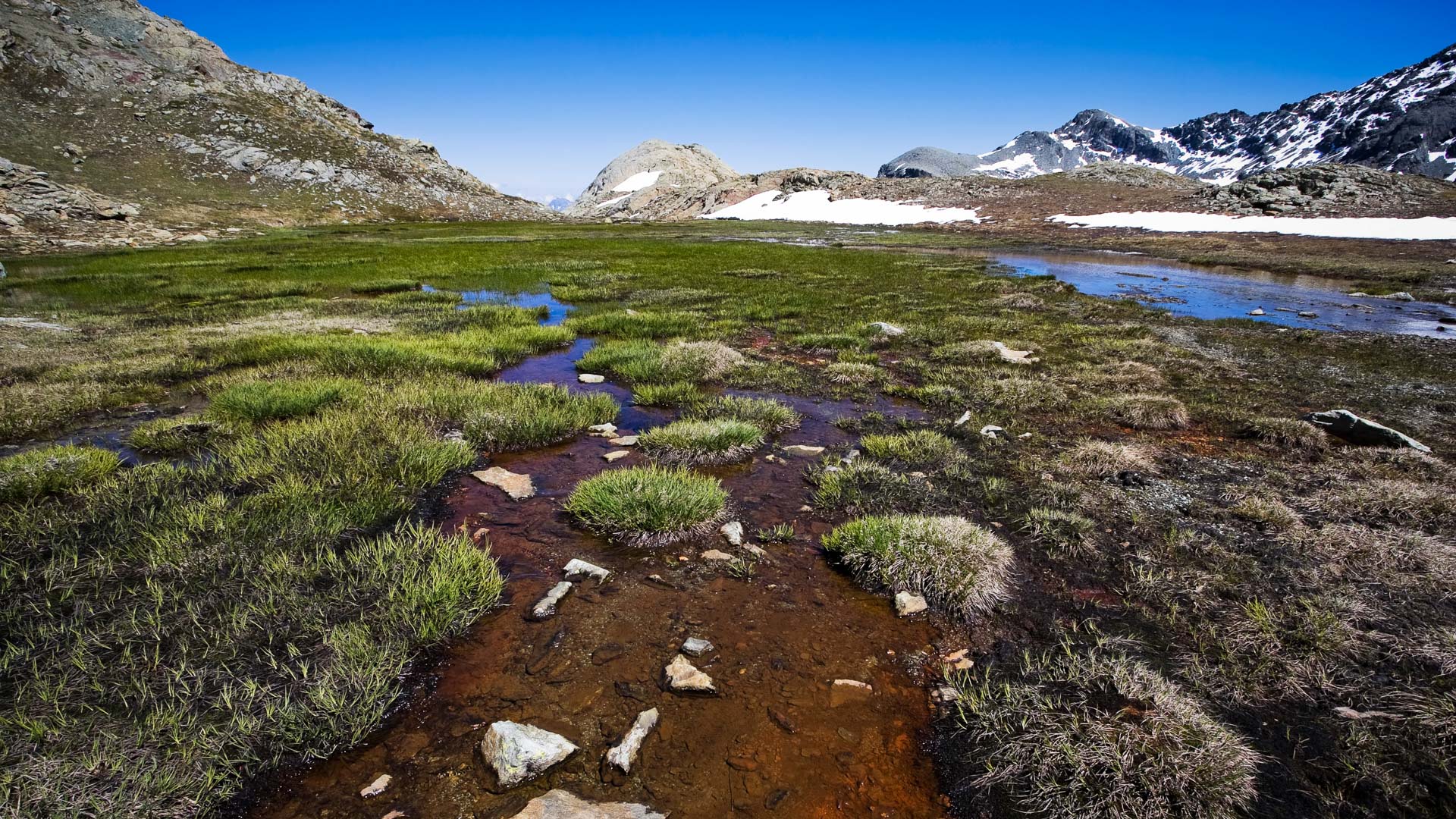 une tourbière en altitude dans le parc du Mont Avic