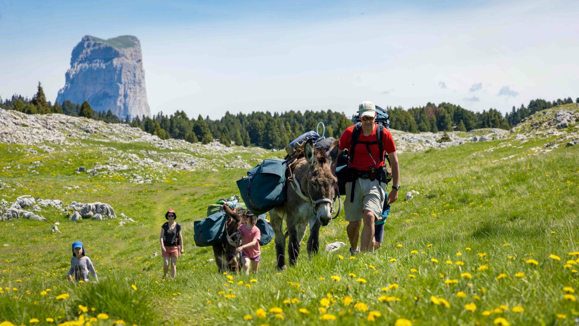 randonnée avec des ânes dans le Vercors