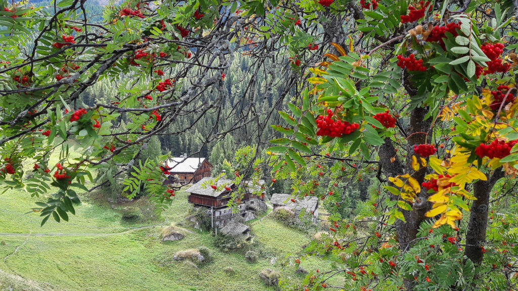 Hameau Walser de Frantzé dans le Val d'Aoste