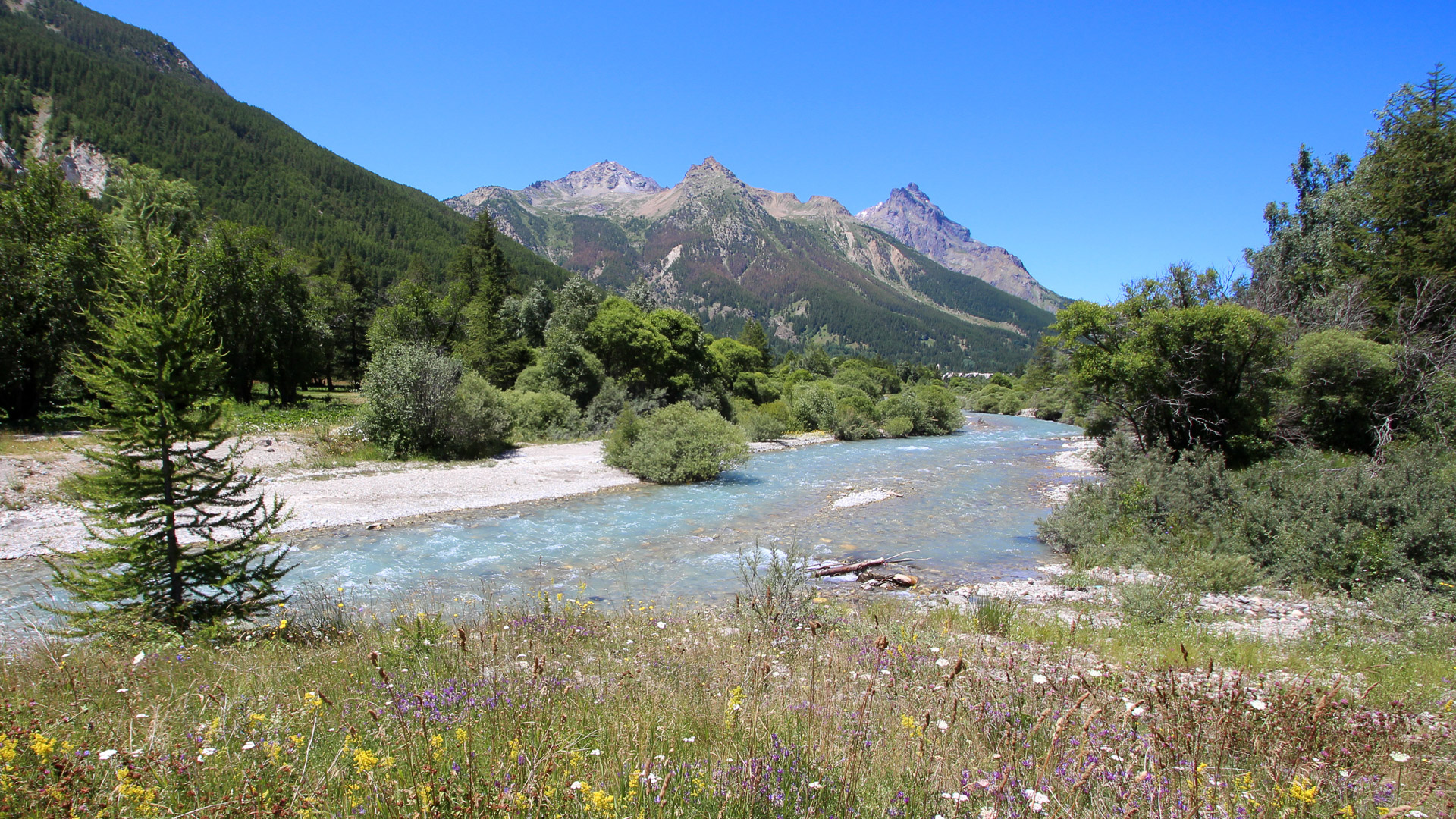Torrent dans la Vallée de la Guisane