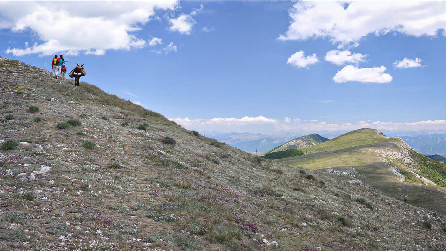 Randonnée sur les crêtes herbeuses dans les Baronnies provençales