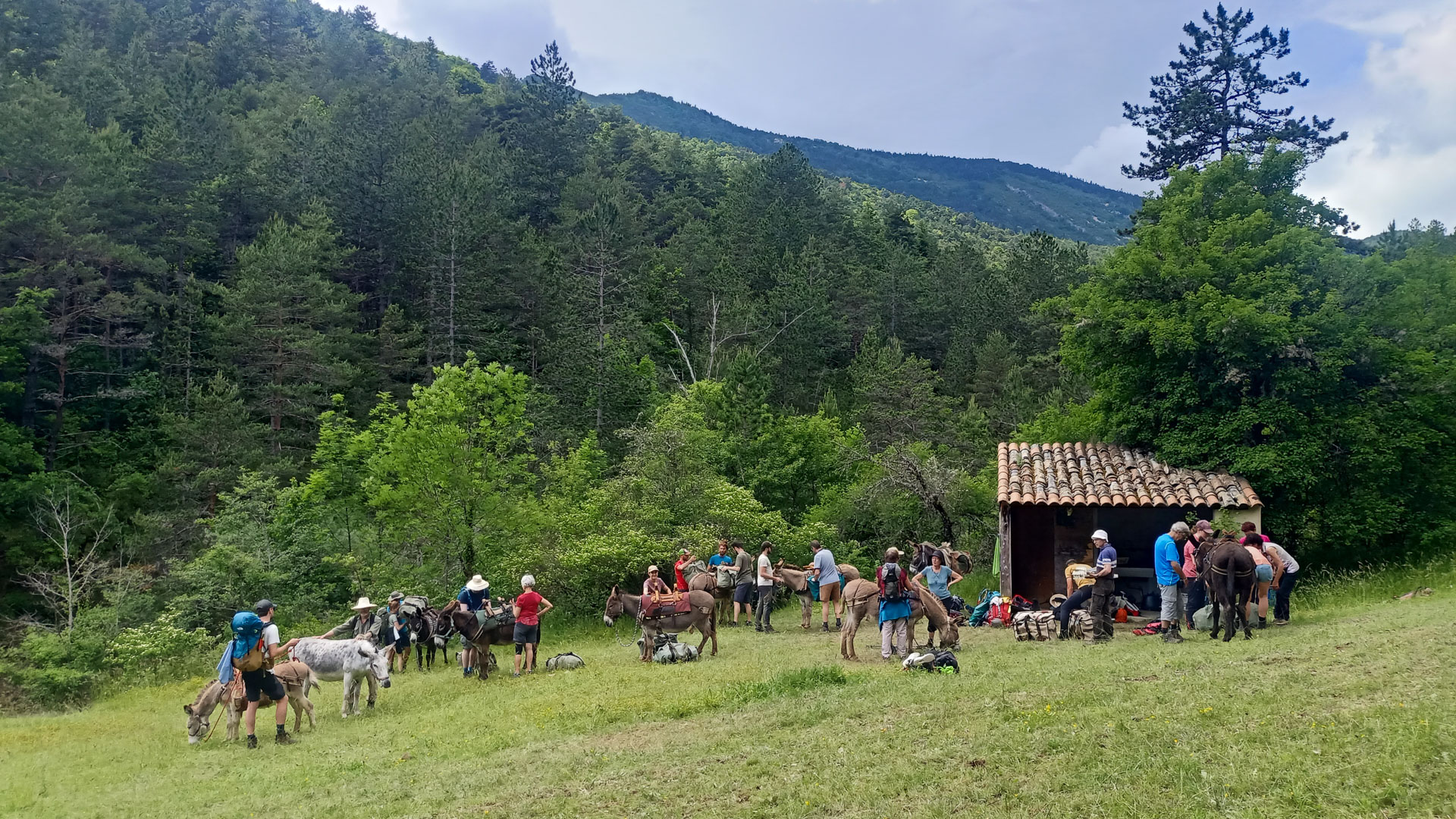 1ère journée de transhumance au pied du Vercors